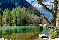 LOMBARDIARD